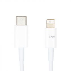  PowerPlant USB Type-C - Lightning, 12W, 1 (CA913275)