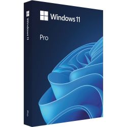 Microsoft Windows 11 Pro 64-Bit USB Flash Drive (HAV-00162)