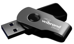   USB 256Gb Wibrand Lizard, Grey, USB 3.2 Gen 1 (WI3.2/LI256P9B)